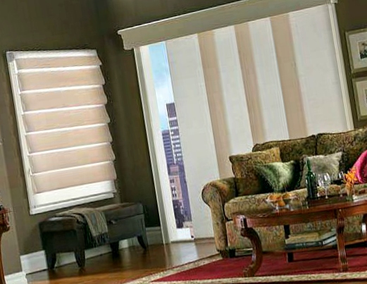 panel japones en puebla